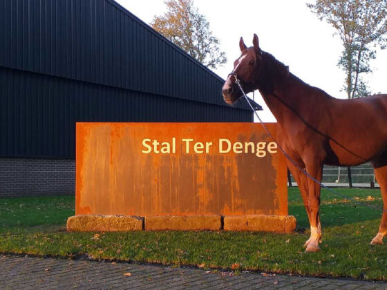 Stal ter Denge